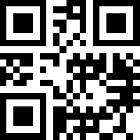 QR code preview